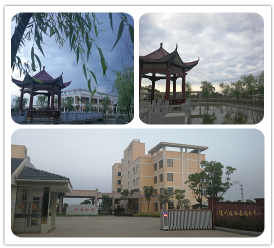 QQ截图20180517163621.png