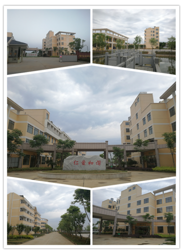 QQ截图20180517164417.png