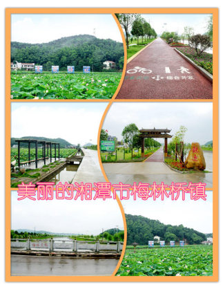 QQ截图20180517171454.png