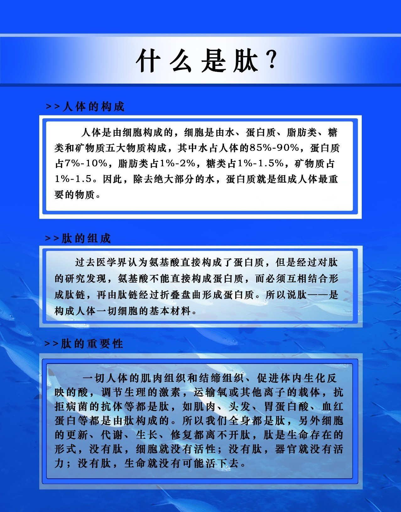 1526974582269041.png