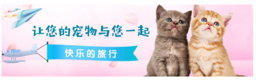 QQ截图20180601134126.png