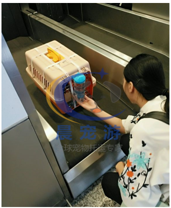 QQ截图20180601134409.png