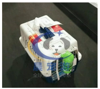 QQ截图20180604092159.png