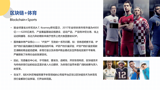 艺电链项目介绍PPT11111_05.png