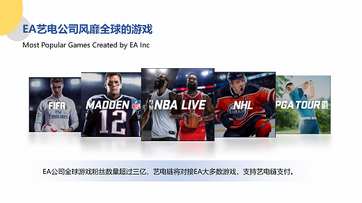 艺电链项目介绍PPT11111_06.png