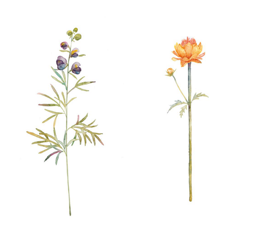 图片5.png