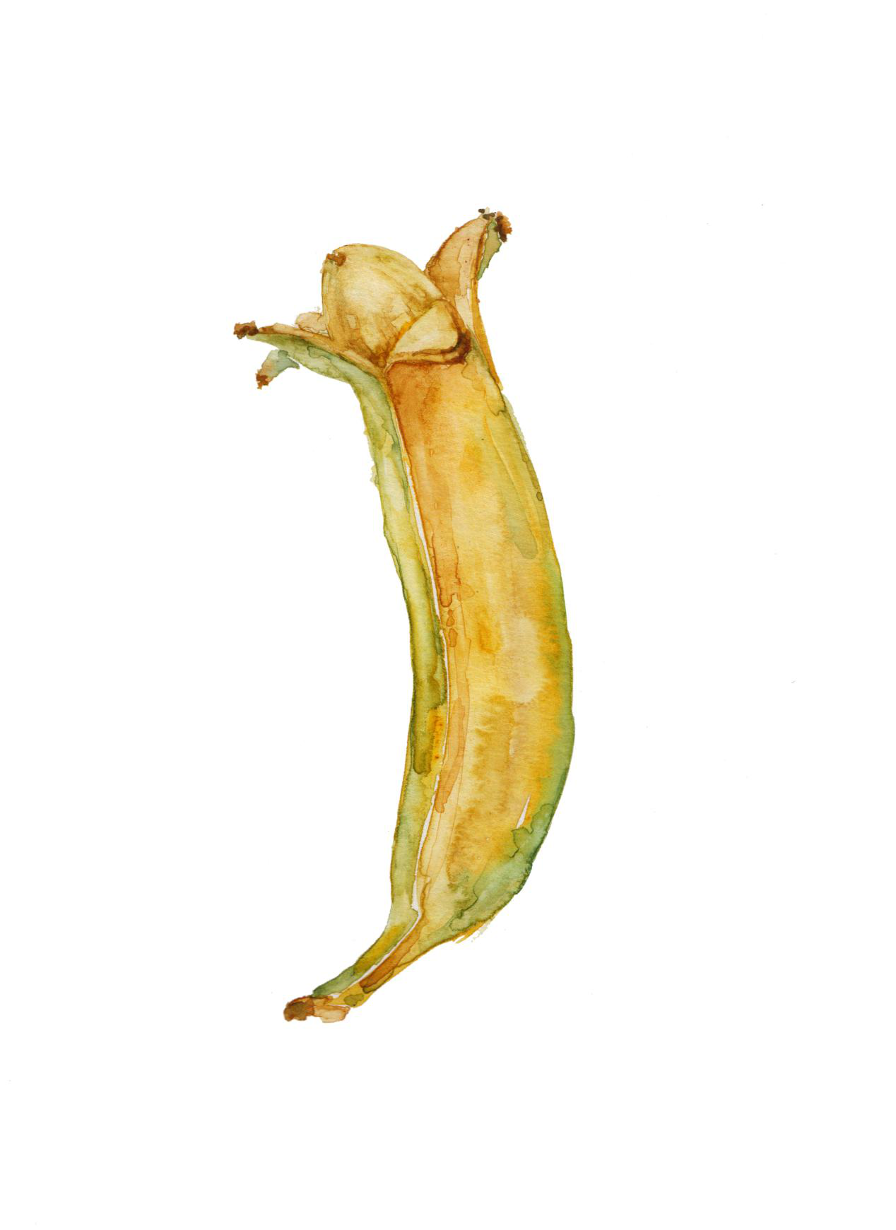 1533871650397742.png