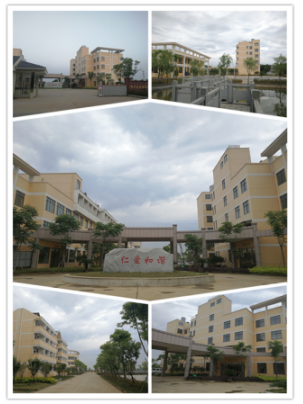 QQ截图20180815105321.png