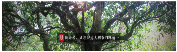 QQ截图20180914181302.png