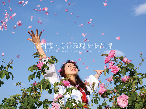 图片21.png