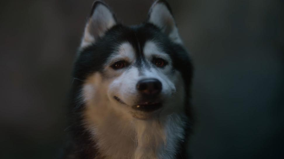 1537510427602574.png