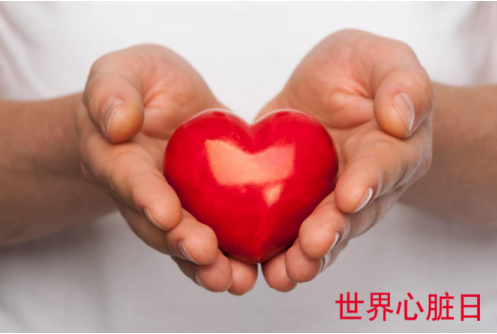 QQ截图20180928144101.png