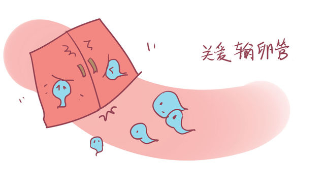1554282204780651.png