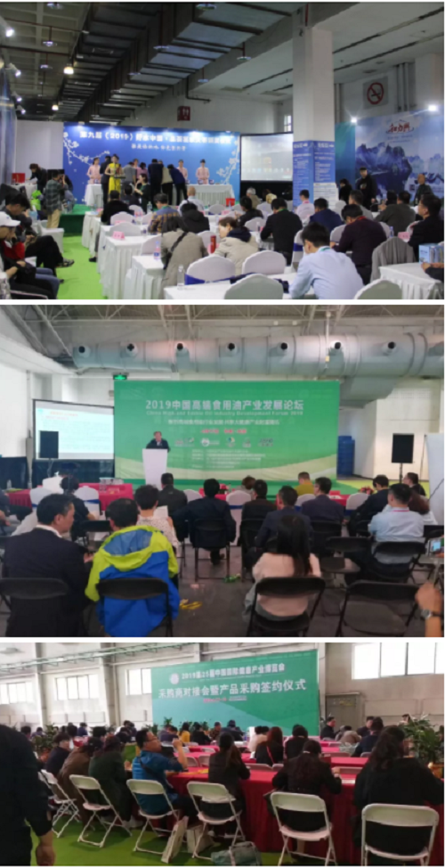图片12.png