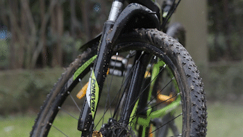 （10）MVI_0806.gif