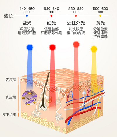 图片12.png