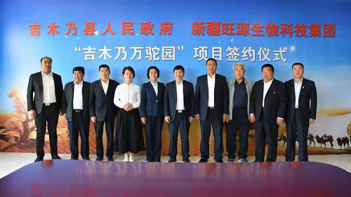 图片1.png