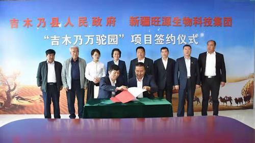 图片2.png