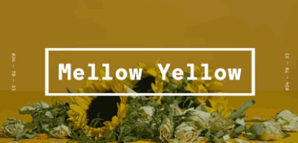 1567048010214203.png