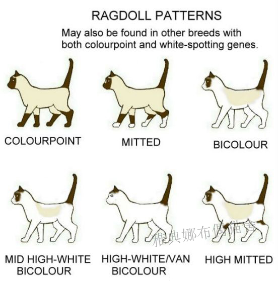 1567403340832388.png