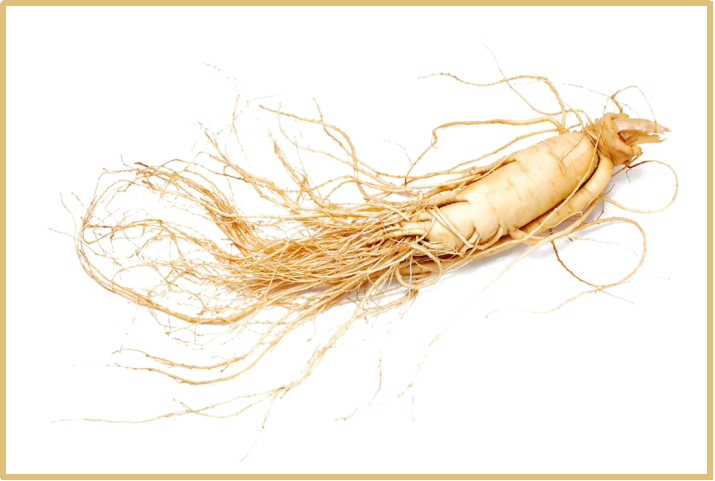 1568949613537073.png
