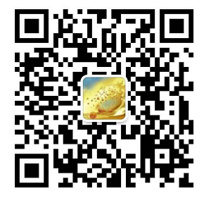 图片51.png