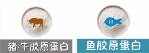 图片29.png