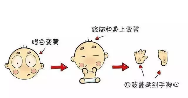 1574412699730784.png