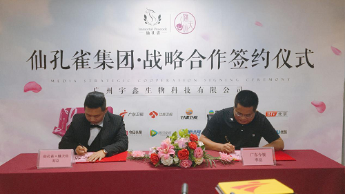 图片12.png