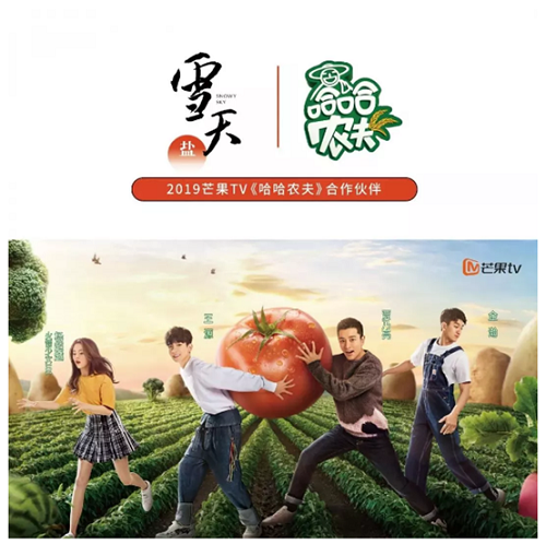 图片21.png