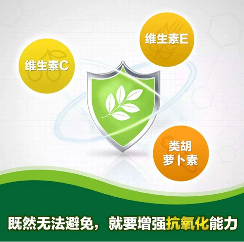 图片17.png