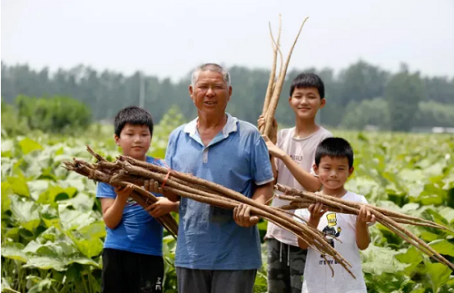 图片4.png