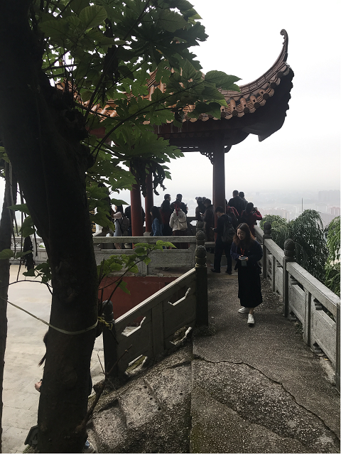 图片5.png
