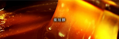 图片29.png