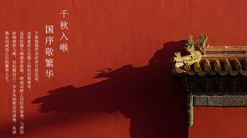 图片13.png