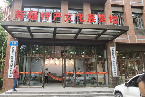 图片9.png