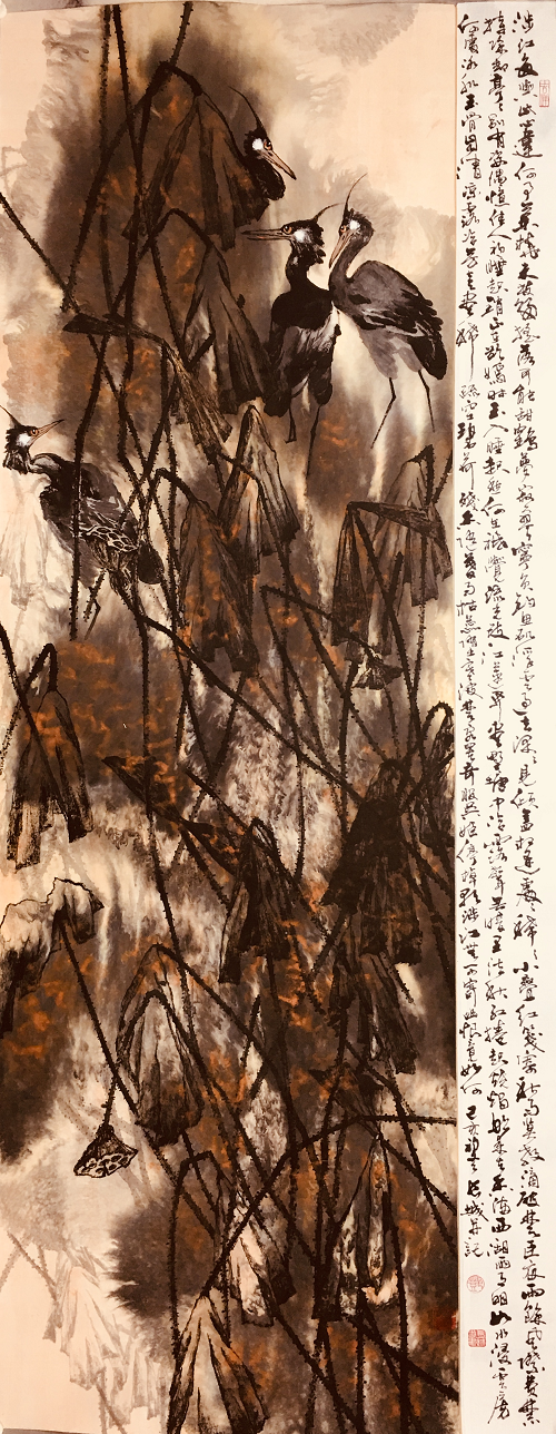 图片31.png