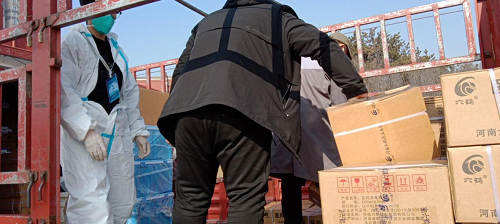 图片11.png