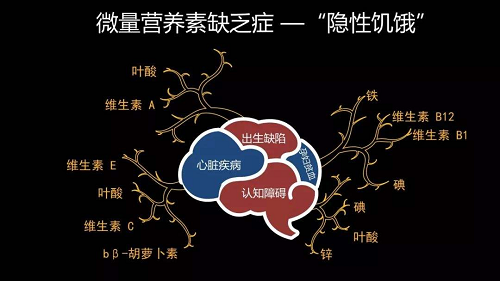 图片12.png
