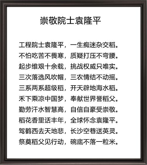 图片12.png