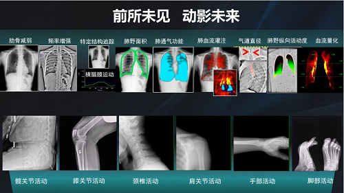 图片15.png