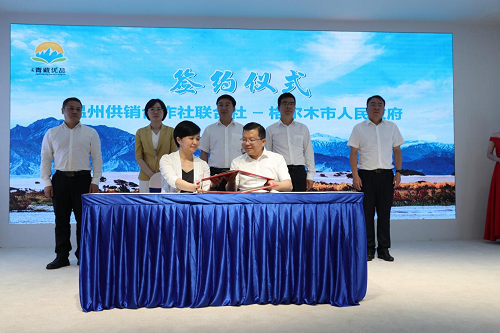 图片12.png