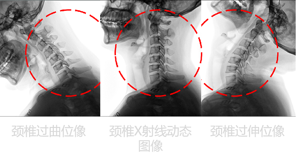 图片14.png